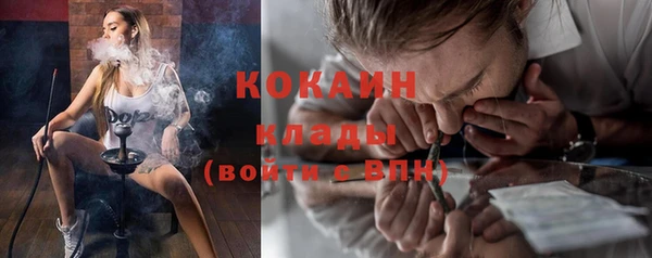 прущие грибы Сафоново