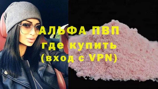 прущие грибы Сафоново