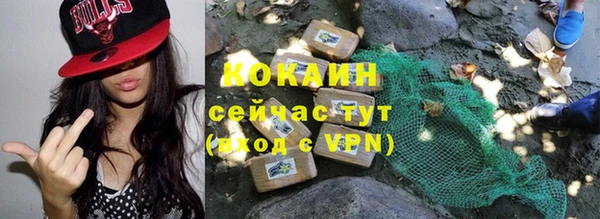 прущие крисы Абаза