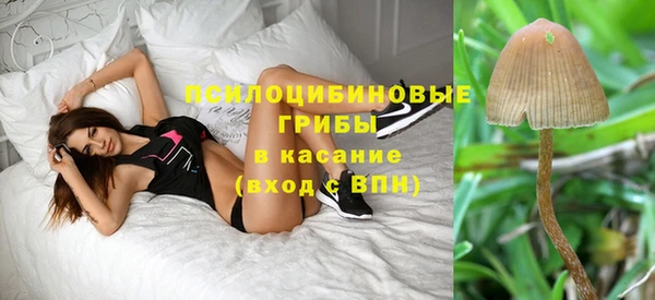 прущие крисы Абаза