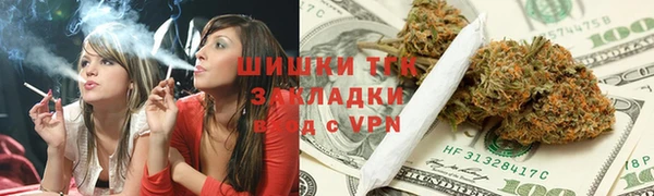 прущие грибы Сафоново