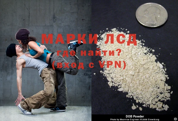 прущие грибы Сафоново