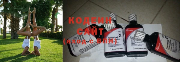 дурь Сатка