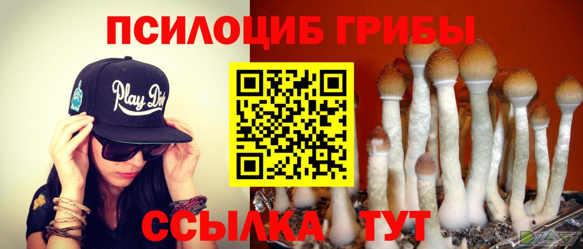 Псилоцибиновые грибы Magic Shrooms Отрадный